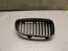 Front bumper lower grill 00859910