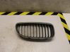 Front bumper lower grill 51137120008