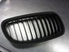 Front bumper lower grill 51137120008