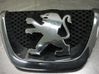 Manufacturer badge logo/emblem 9800313880