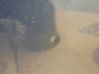 Door (2 Door Coupe) 670010H020