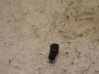 Capteur de stationnement PDC 1T0919297A
