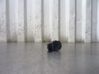 Parking PDC sensor 1S0919275A