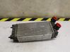 Intercooler radiator 0384N9