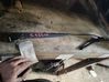 Front wiper blade arm 00006429W6