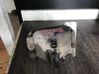 Bremssattel vorne 5818125A00
