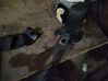 Cinturón delantero 1M0857706AHEV