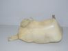 Windshield washer fluid reservoir/tank 