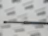 Front bonnet/hood damper/strut 7060550
