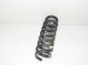 Rear coil spring 6889982