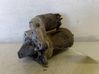 Starter motor 8200584837