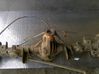 Hinterachsdifferential 