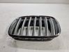 Front bumper upper radiator grill 7171395