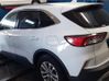 Rear door 2525163