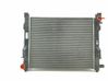 Wasserkühler 214100078R