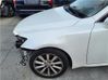 Guardabarro 5380253060