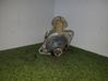 Starteris 220004891