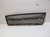 Front bumper lower grill 51117178115