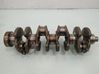 Crankshaft AXS40