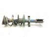 Amortiguador delantero con muelle espiral 543020808R