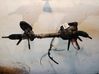 Steering rack 7806501667