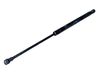 Tailgate/trunk strut/damper 51247008764