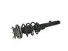 Front shock absorber with coil spring 6796160