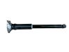 Rear shock absorber with coil spring 6897390