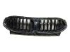 Atrapa chłodnicy / Grill 9465521