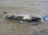 Rear bumper mounting bracket 39059838