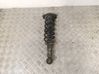 Rear shock absorber with coil spring 
