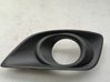 Front fog light trim/grill 