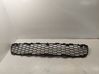 Front bumper lower grill 