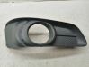 Front fog light trim/grill 