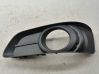 Front fog light trim/grill 