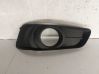 Front fog light trim/grill 
