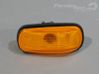 Front fender indicator light 