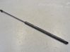 Front bonnet/hood damper/strut 