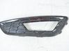 Front fog light trim/grill 