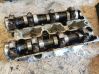 Engine head 24449645