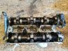 Engine head 24449646