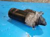 Starter motor 20081113