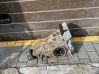 Hinterachsdifferential 753204902