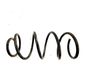 Front coil spring 