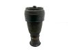 Amortiguador/suspensión neumática trasera 6766667