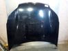 Motorhaube 00007901P3