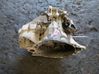 Manual 6 speed gearbox 4M5R7002CB