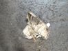 Manual 5 speed gearbox FC280