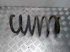 Front coil spring 