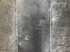 Radiador del refrigerante 1C1H8005JC